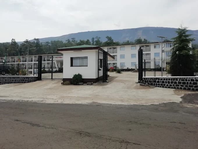 Paliamentarian Flat